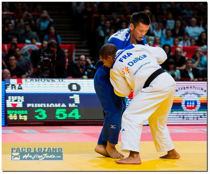 Paris 2014 by P.Lozano cat -66 kg_PLM1653